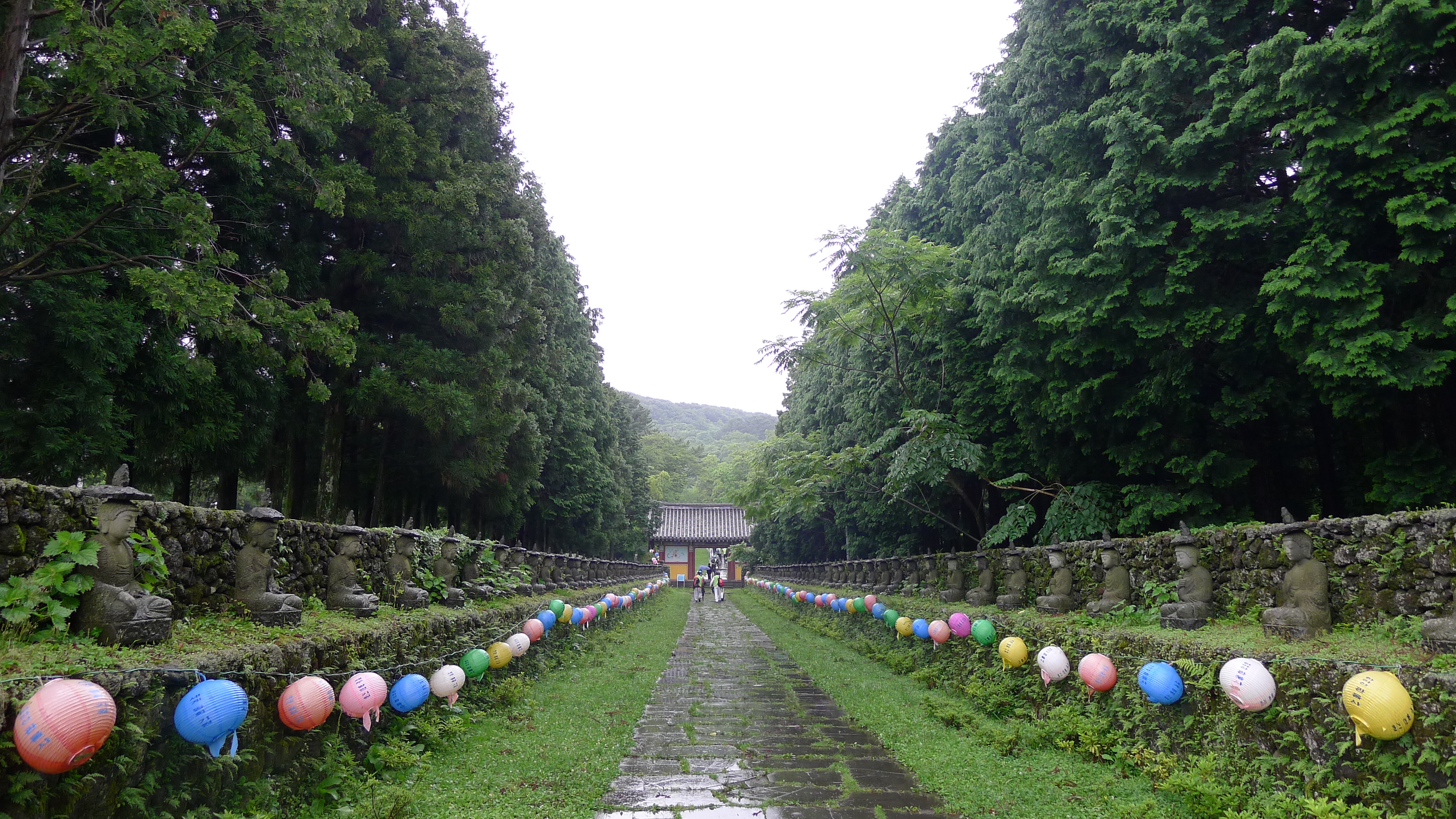 (2011.7.9)제주도-1- 394.jpg